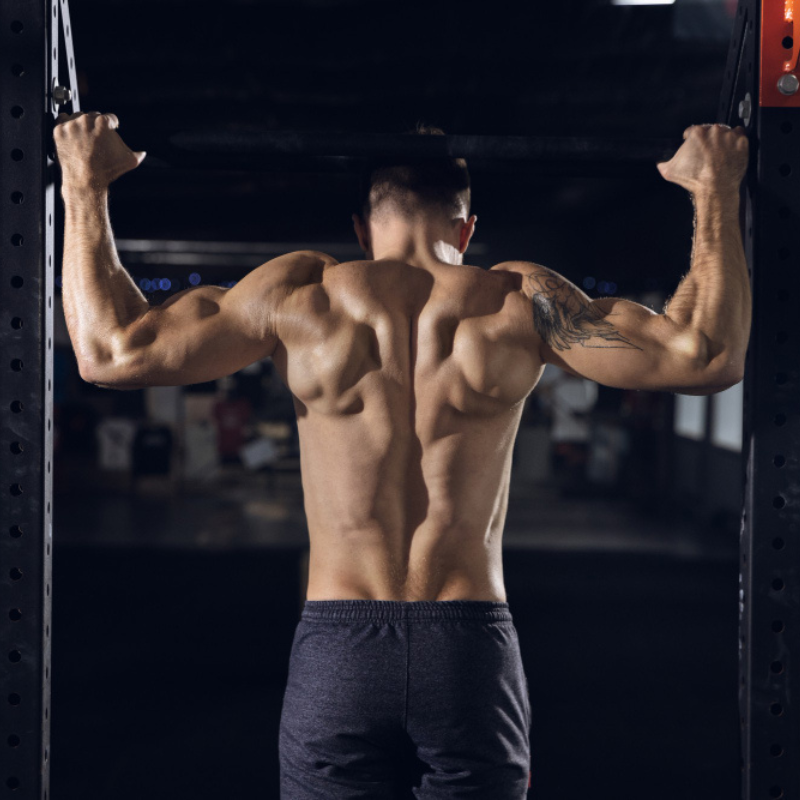 A Complete Guide to Embarking on a Fitness Journeyโ KJ Labs